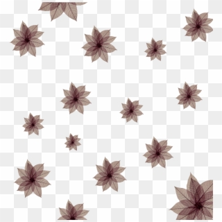 #ftestickers #freetoedit #flower #pattern #dried#freetoedit - Clematis Clipart
