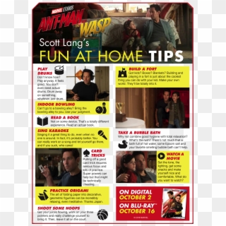 Ant Man And The Wasp Things To Do At Home - Ant-man And The Wasp Clipart