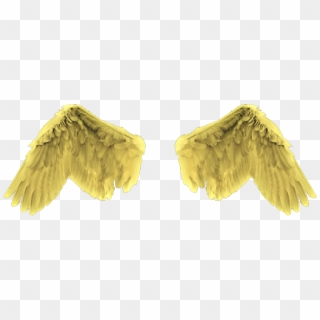 #angel #wings #gold #yellow - Earrings Clipart