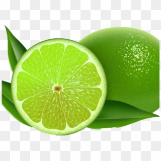 Lime Clipart Green Lemon - Lime Clipart - Png Download