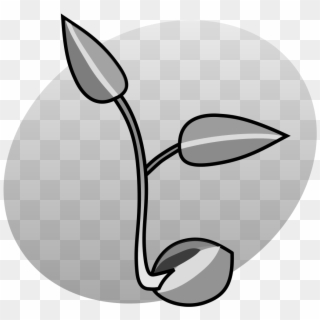 P Seedling Grey Clipart