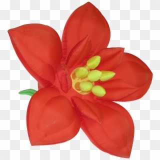 Flower - Poinsettia Clipart