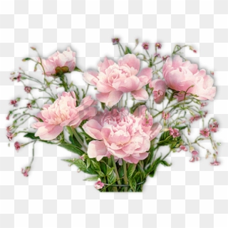 Free Png Pivoines - Flowers With Good Afternoon Clipart