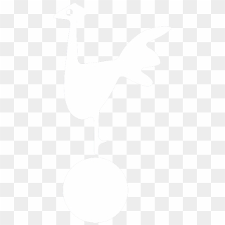 Duck Clipart