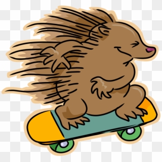 Vector Illustration Of Hedgehog Skateboarder Skateboarding - Hedgehog Clip Art - Png Download