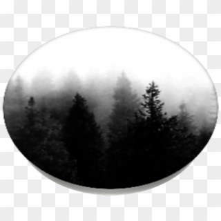 Dark Forest, Popsockets - Christmas Tree Clipart