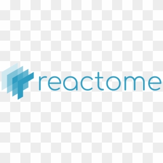Large [1183x276] - Reactome R Clipart