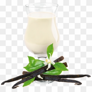Vanilla Shake Drink Mix - Ideal Protein Vanilla Clipart