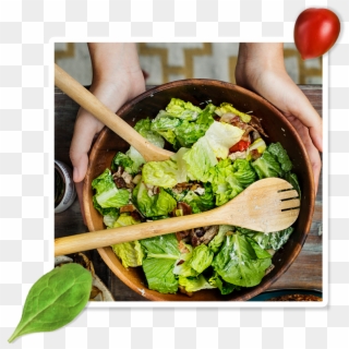 Read More - Shake Salad Clipart