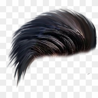 Cb Hair Png Zip - Png Of Hair Style Clipart