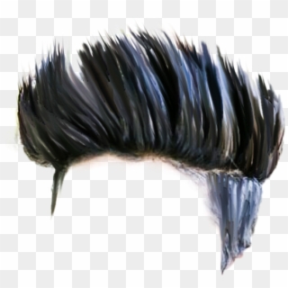 Boy Hair Png Hd Quality - Hair Clipart