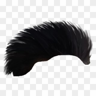 Hair Png - Wing Clipart