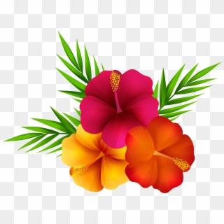 Free Png Download Exotic Flowers Png Images Background - Transparent Tropical Flowers Png Clipart
