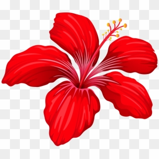 Red Flower Clipart Transparent - Exotic Flowers Png