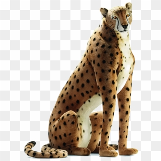 Sitting Cheetah Transparent Image Clipart
