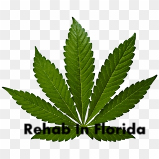 Rehab For Marijuana Abuse - Cannabis Leaf Clipart