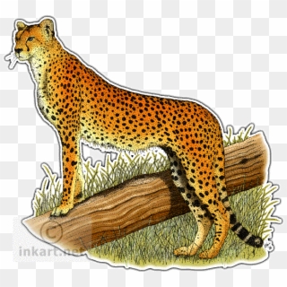 Color In Cheetah Animal Clipart