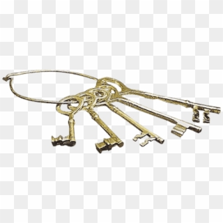 Halter Clipart