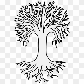 Tree Of Roots Transparent - Bare Tree On Transparent Background Clipart
