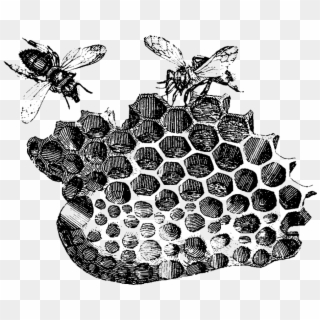 Bees In Art Clipart