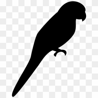 Silhouette Bird Parrot Png Image - Parrot Shadow Clipart