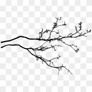 Tree Branch Png - Tree Branch With Leaves Silhouette Png Clipart
