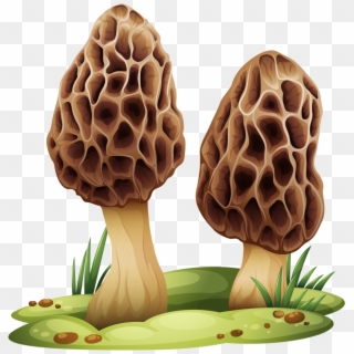 Hocus Pocus Mushroom Kit - Mushroom Vector Free Clipart