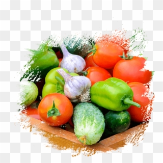 Fresh Vegetables Png For Kids - Farm House Website Template Clipart