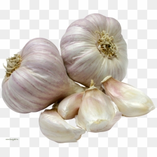 Garlic - Vegetables Garlic Clipart