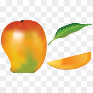 Mango Fruit Drawing Clipart