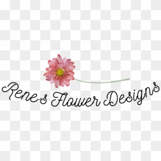 Renes Flower Designs - Barberton Daisy Clipart
