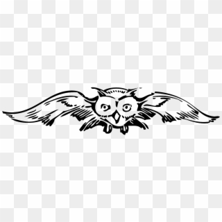 Spread Owl Front Wings Bird Png Image - Flying Owl Clip Art Transparent Png