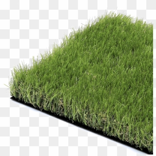 Artificial Grasses Clipart