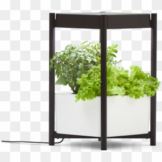 Miracle-gro® Twelve™ Indoor Growing System - Houseplant Clipart