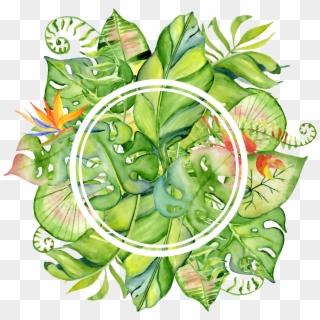 Hand Painted Bright Green Leaves Wall Png Transparent - Tropical Leaves Frame Png Clipart