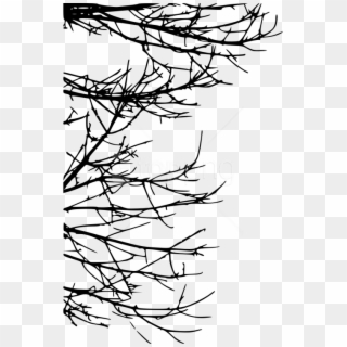 Free Png Tree Branch Png - Silhouette Twigs Png Clipart
