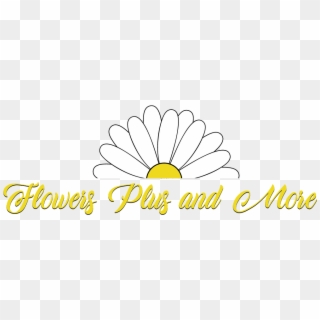 Flowers Plus & More Llc - Chamomile Clipart