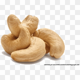 Cashew Nut Illustrations Pictures - Transparent Cashew Png Clipart