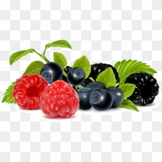 Vector Fruit Berries - Free Clipart Berries - Png Download