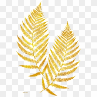Click And Drag To Re-position The Image, If Desired - Gold Fern Transparent Clipart