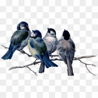 Mq Blue Birds Bird Flying Animal - Gratitude Ralph Waldo Emerson Poems Clipart