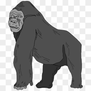 Collection Of High Quality Free Png - Gorilla Clipart No Background Transparent Png