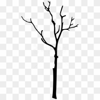 Free Bare Tree Silhouette Free Images Transparent Png - Silhouette Tree Branch Clipart