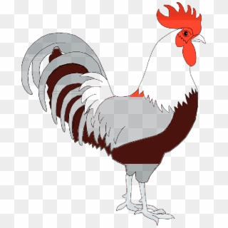 Cock Transparent Png Images Free Download - Cock Png Clipart