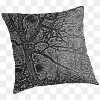 Black White And Gray Bare Tree And Branches Nature - Cushion Clipart