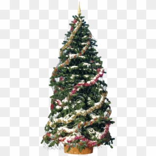 Christmas Tree With Decoration Clipart