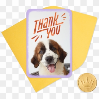 25" Mini Cute Puppy Thank You - Moscow Watchdog Clipart