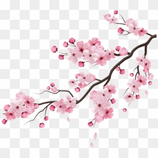 Cherry Cherryblossom Blossom Peachflower Peach Flower - Cherry Blossom Branches Vector Clipart