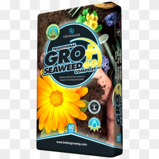 Groplus Seaweed60 - Sunflower Clipart