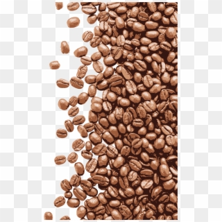Beans Vector Espresso Bean - Coffee Beans Photoshop Transparent Clipart